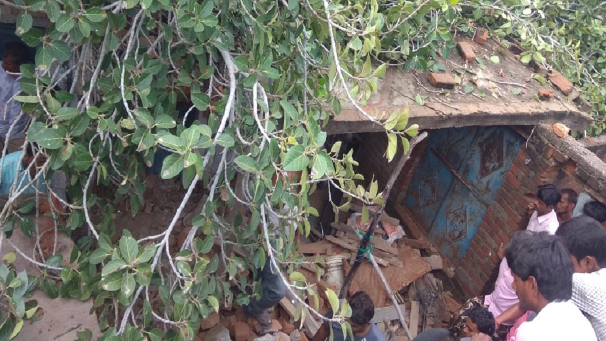 Two children, including grandmother, died after falling tree at home in Mahoba