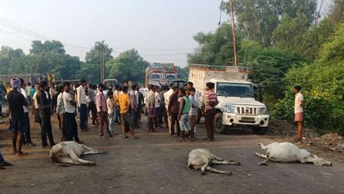 Villagers angry over the death of a dozen bovines crushed by a truck in Banda blocked the highway for 5 hours