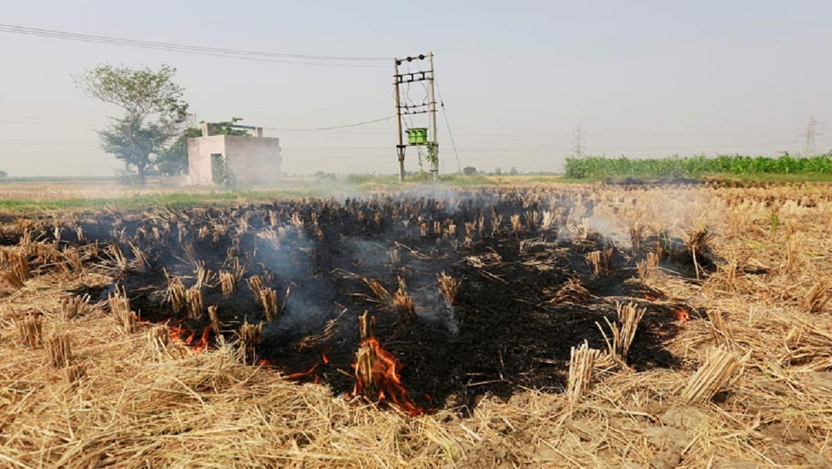 Strict UP government suspended 7 Lekhpal and, Daroga line spot and 178 farmers sued due to parali burn