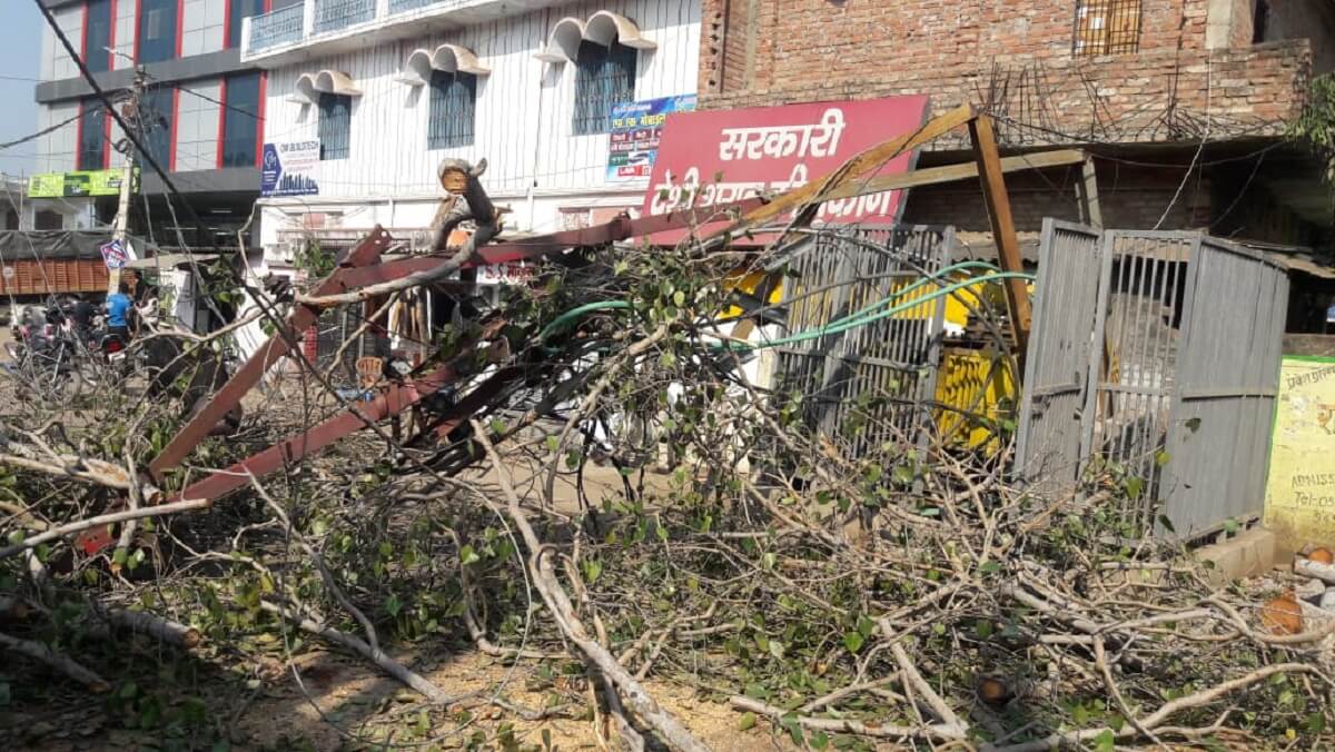 Blocked huge tree collapses near roadways in Banda