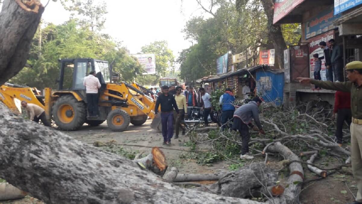 Blocked huge tree collapses near roadways in Banda