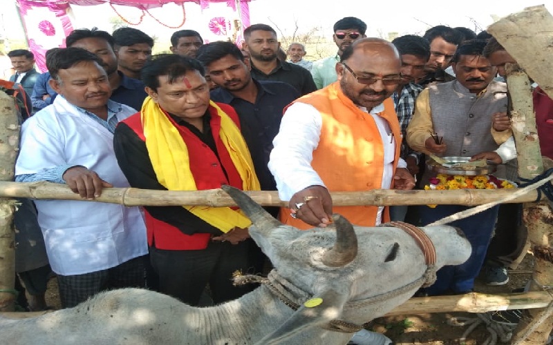 Minister of state status UPCLF President Virendra Tiwari inaugrated cowhouse in Banda