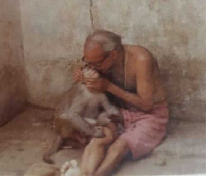Unique story of human-monkey relationship in Fatehpur