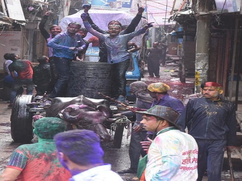 Fiercely colored in the Ganges fair in Kanpur