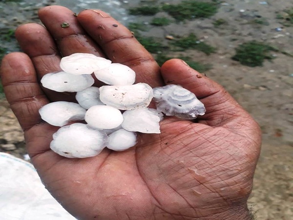 72-hour alert of meteorological department in UP rain on farmers