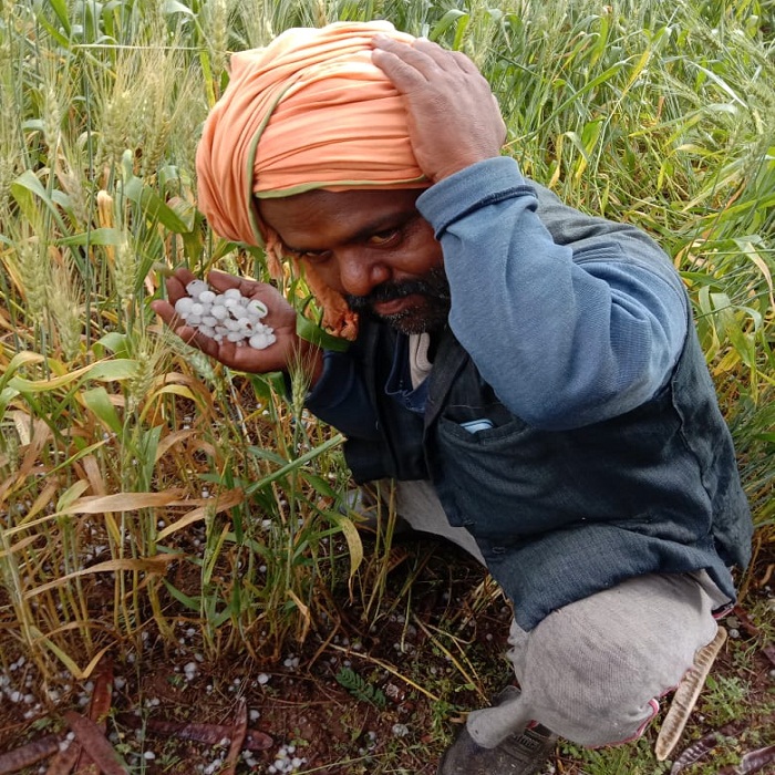 72-hour alert of meteorological department in UP rain on farmers