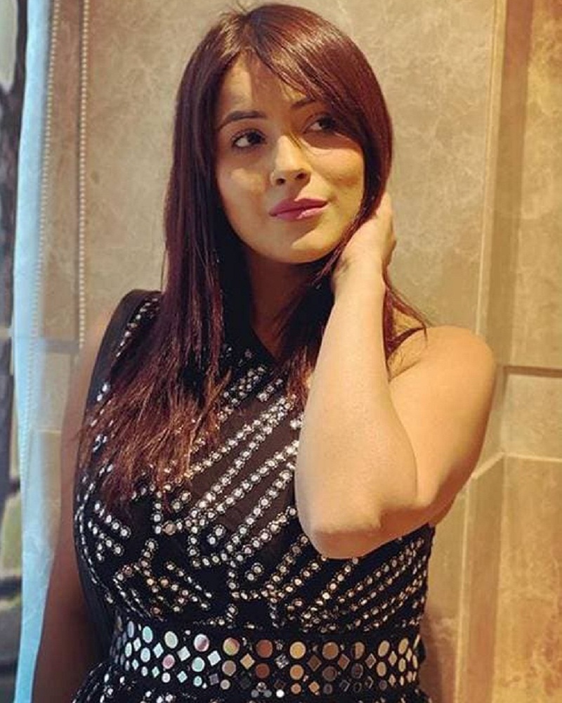 Shahnaz Gill was contestant of Bigg Boss 13-5