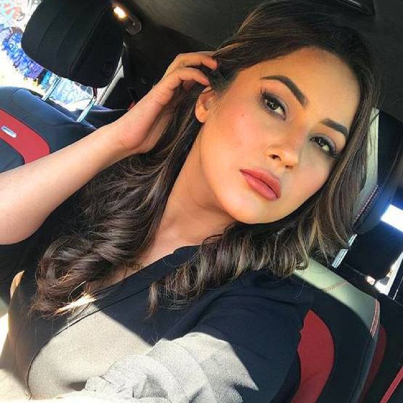 Shahnaz Gill was contestant of Bigg Boss 13