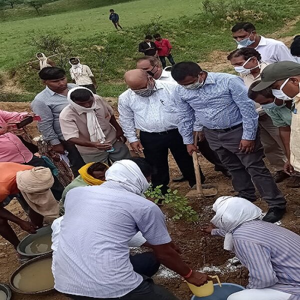 Banda commissioner did plantation, reprimanded secretary for negligence