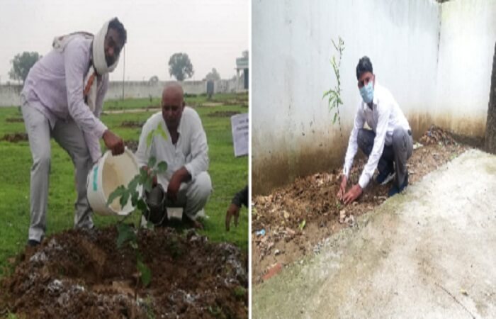 Women's college in Banda and greenery till block in Kamasin