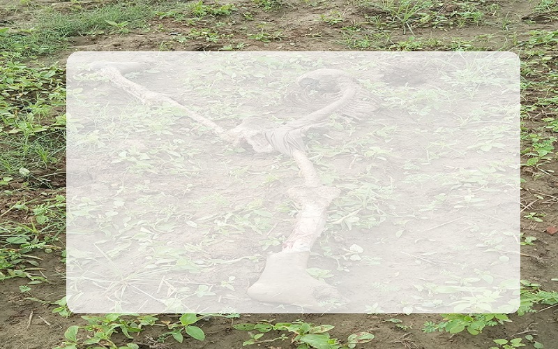Buried male skeleton found on roadside in Kanpur