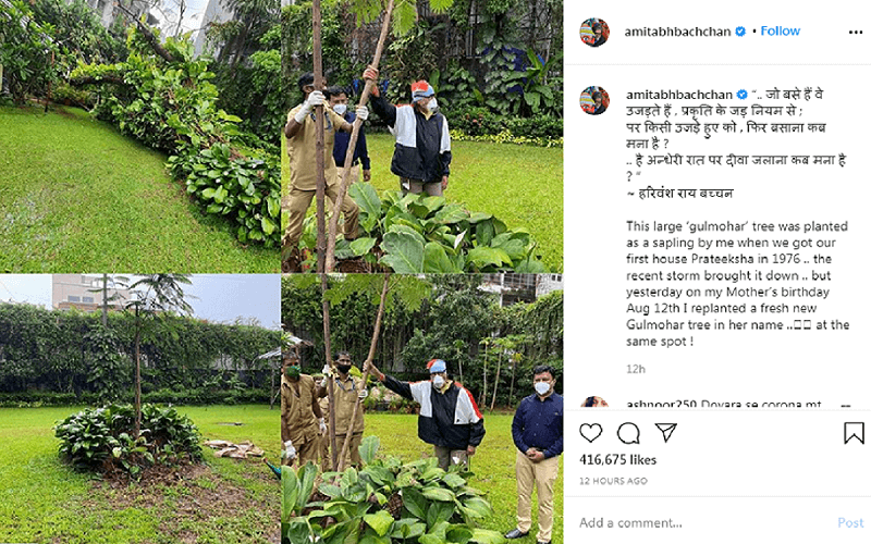 Amitabh Bachchan came out for the first time after beating Corona, planted a tree in memory of his mother