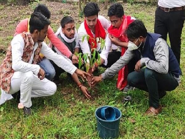 Students planted saplings on the occasion of Independence Day in Banda