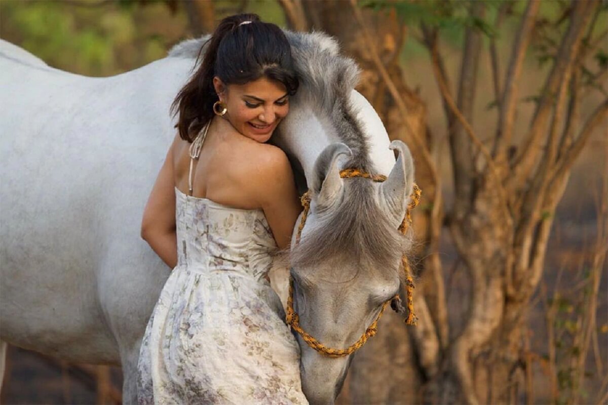 Bollywood super fit actress Jacqueline's latest photos caused havoc on internet