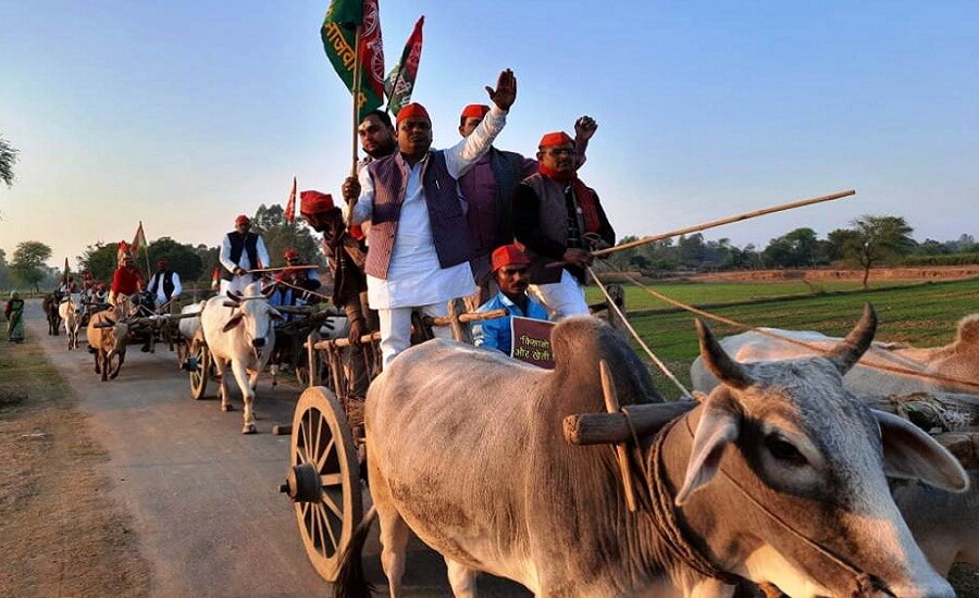 sapai-riding-on-bullock-cart-in-naini-banda-kisan-yatra-set-out
