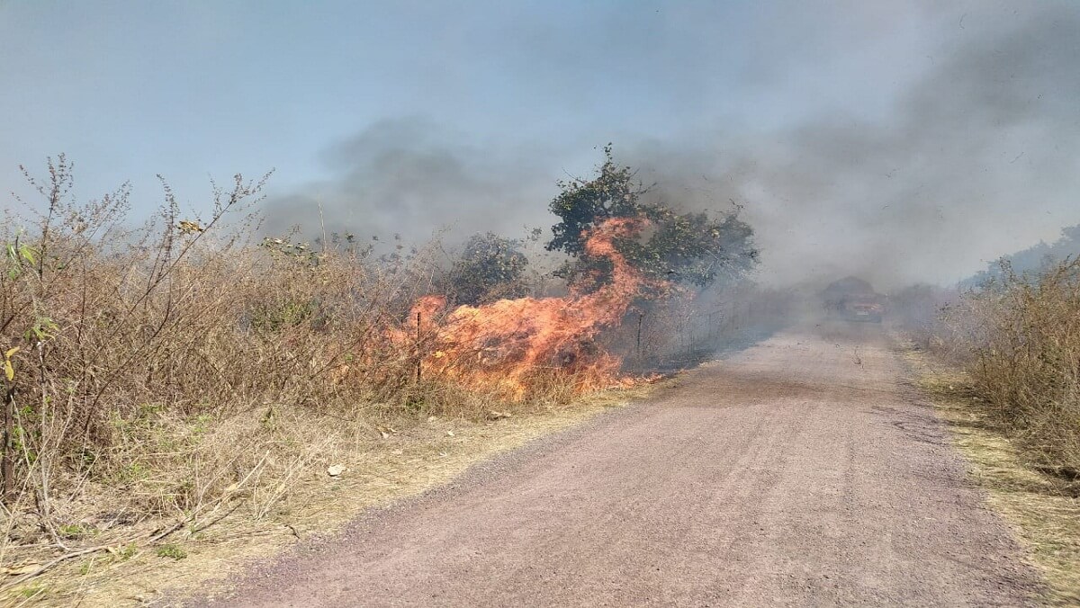 Fierce fire in forest of Banda's invincible Kalinjar fort, sparking fire even after 12 hours