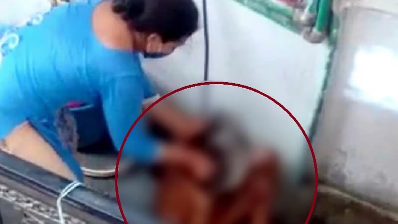 Ruthless daughter-in-law in Kanpur : 105 year old mother-in-law beaten up, neighbor made video, police sent to jail