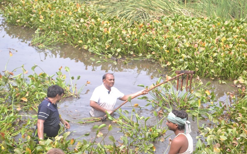 Remove water hyacinth campaign in Banda, officers took over command