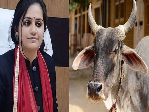 Fatehpur DM's army of 7 doctors for sick cow, CVO suspended if matter caught fire