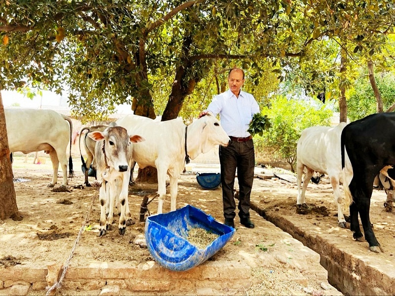 Banda Jail : From Banda Jail of dacoits, officers giving big message of goodness with animals