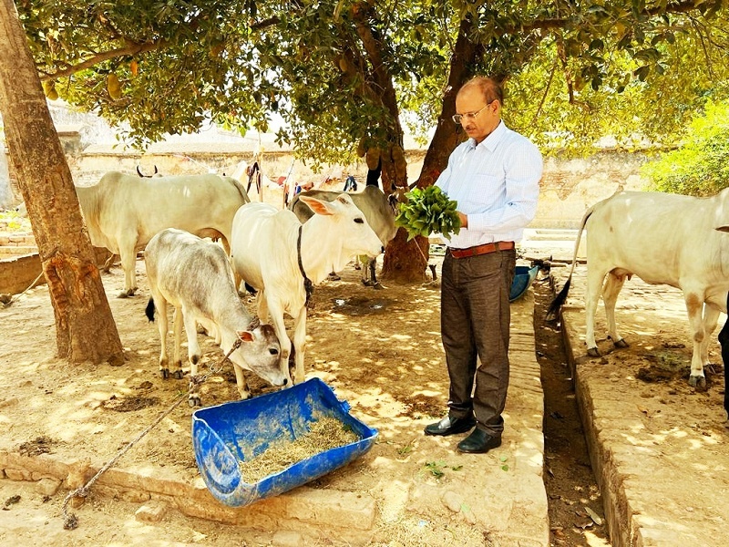 Banda Jail : From Banda Jail of dacoits, officers giving big message of goodness with animals