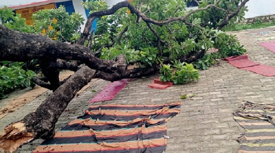 Chitrakoot : Tree fell on children praying in school, many injured CM Yogi took cognizance