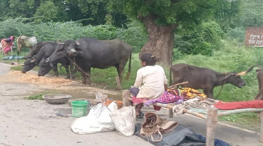 UP Flood News Rivers in spate, Minister Sachan in Banda, many more districts affected