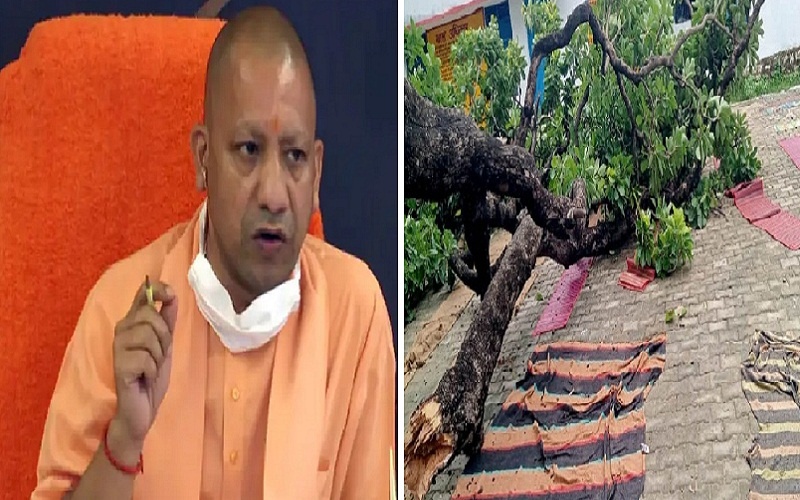 Chitrakoot : Tree fell on children praying in school, many injured CM Yogi took cognizance